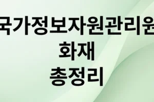 국가정보자원관리원 화재: 피해, 복구, 대체 서비스 총정리