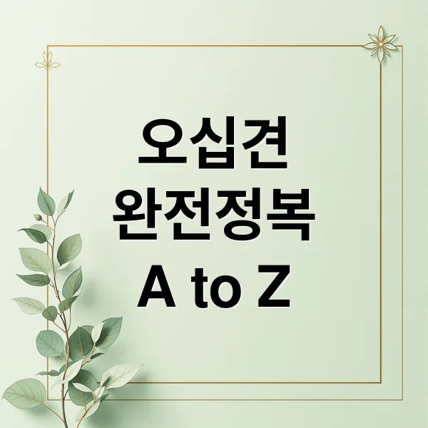 오십견 완전 정복: 증상부터 치료, 운동, 예방까지 A to Z