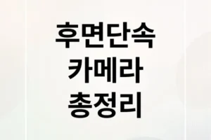 후면 단속 카메라 A to Z: 원리, 기준, 위치, 벌금 완벽 가이드