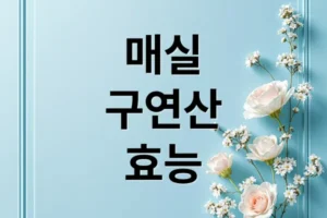매실 효능: 구연산의 힘! 치매 예방부터 소화 촉진, 활용법까지