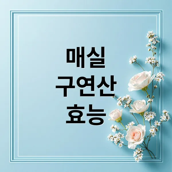 매실 효능: 구연산의 힘! 치매 예방부터 소화 촉진, 활용법까지
