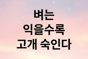 벼는 익을수록 고개를 숙인다: 속담의 깊은 의미와 현대적 적용
