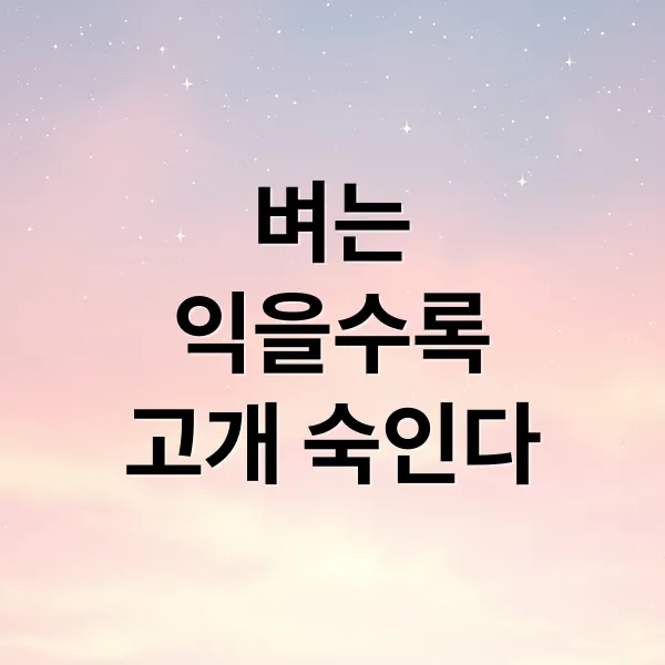 벼는 익을수록 고개를 숙인다: 속담의 깊은 의미와 현대적 적용