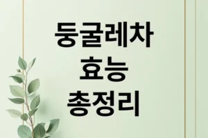 둥굴레차 효능 A to Z: 부작용, 섭취량, 체질별 가이드, 구매팁 총정리