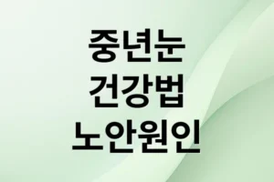노안·안구건조증 핵심 원인부터 완화 전략까지, 중년 눈 건강 완전 가이드