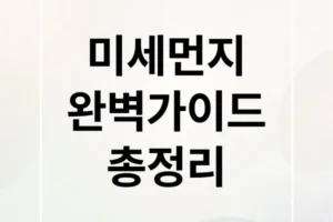 미세먼지 완벽 가이드: 농도 확인부터 건강 영향, 마스크 선택까지!