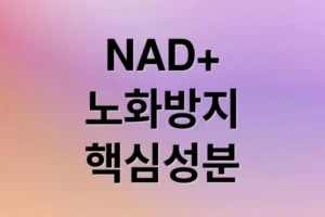 NAD+와 NMN: 노화 방지 핵심 성분, 과학적 근거와 복용 가이드
