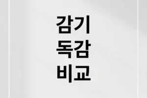 감기 vs 독감, 핵심 증상부터 예방까지 완벽 비교 가이드