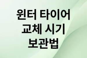겨울철 안전운전 필수! 윈터 타이어 교체 시기, 가격, 보관법 완벽 가이드