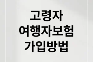 고령자 여행자보험 완벽 가이드: 가입부터 보험금 청구까지 A to Z