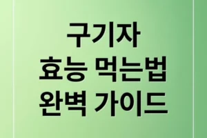 구기자 효능부터 먹는 법, 부작용, 섭취 루틴까지! A to Z 완벽 가이드