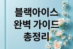 블랙아이스 완벽 가이드: 원인, 위험, 예방, 대처, 후유증 총정리