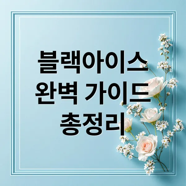 블랙아이스 완벽 가이드: 원인, 위험, 예방, 대처, 후유증 총정리